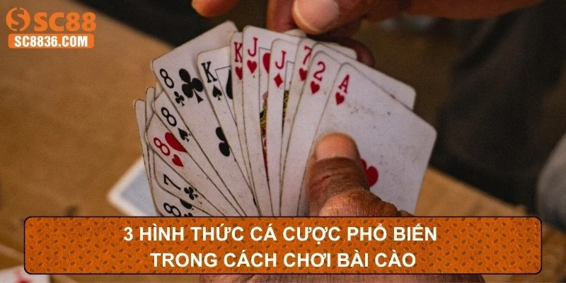 3 hình thức cá cược phổ biến trong cách chơi bài cào