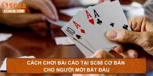 Cách Chơi Bài Cào